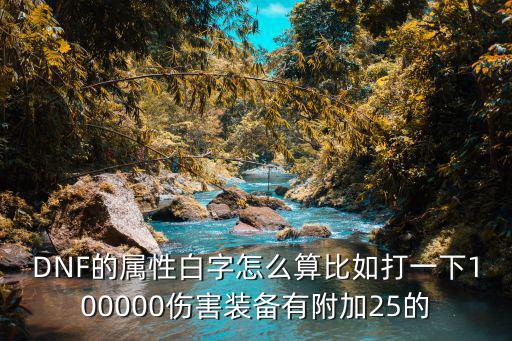 DNF的属性白字怎么算比如打一下100000伤害装备有附加25的