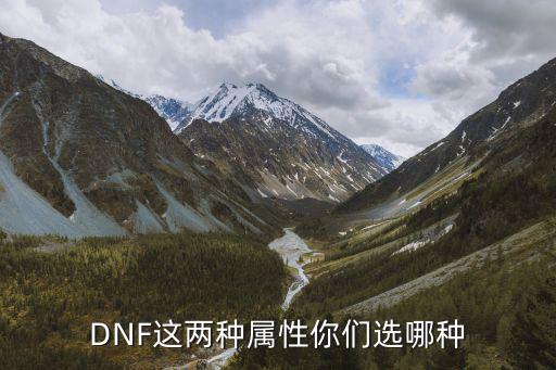 dnf遴选什么属性好啊，DNF这两种属性你们选哪种