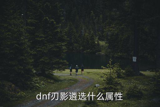 dnf刃影遴选什么属性