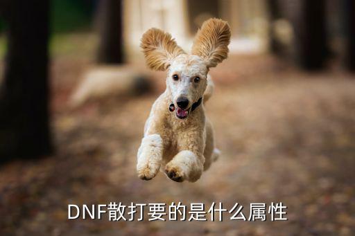 DNF散打要的是什么属性