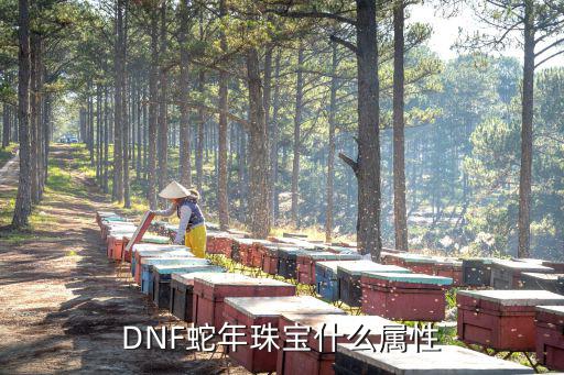 DNF蛇年珠宝什么属性