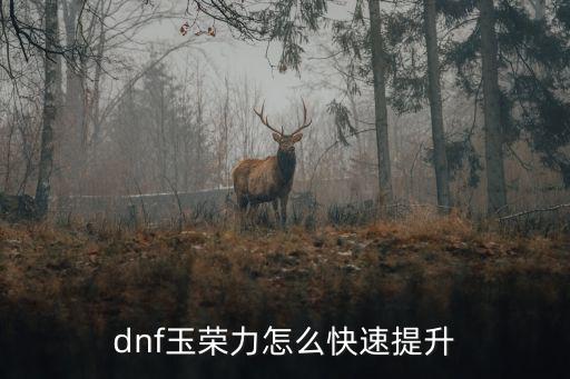 dnf玉荣力怎么快速提升