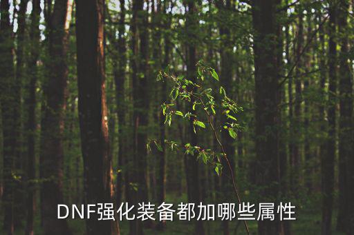 dnf强化加的什么属性，DNF强化装备都加哪些属性