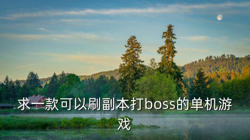 求一款可以刷副本打boss的单机游戏