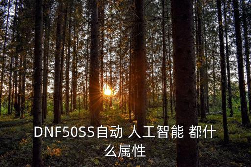 DNF50SS自动 人工智能 都什么属性