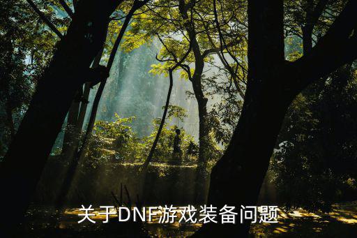 关于DNF游戏装备问题