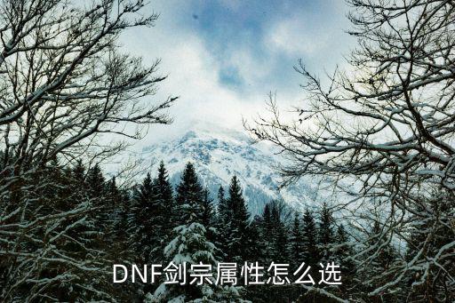 DNF剑宗属性怎么选