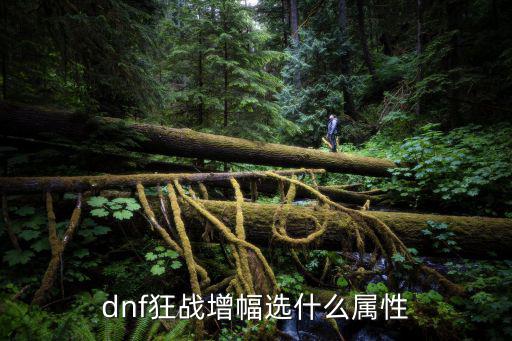 dnf狂战增幅选什么属性