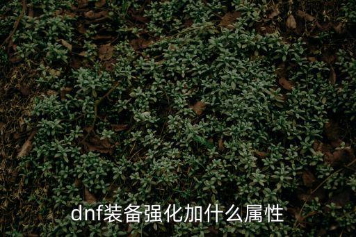 dnf装备强化加什么属性