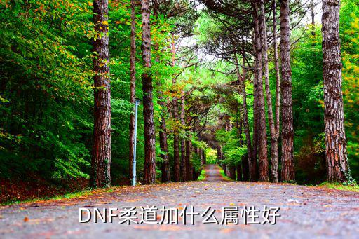 dnf女柔道什么属性强化，DNF女柔道强化什么属性用什么装备