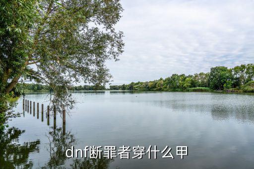 dnf断罪者穿什么甲