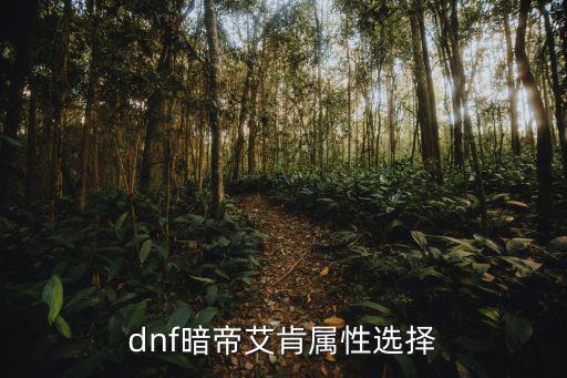 dnf暗帝艾肯属性选择