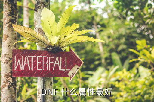 DNF 什么属性最好