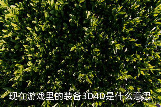 现在游戏里的装备3D4D是什么意思