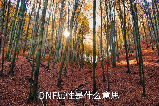 DNF属性是什么意思