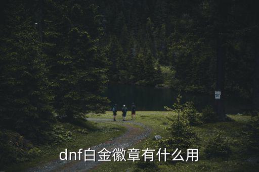 dnf白金徽章有什么用