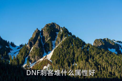 DNF刺客堆什么属性好