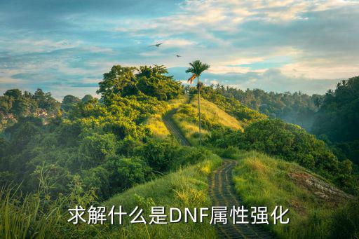 dnf属性强化什么属性，dnf100召唤师有什么属性强化