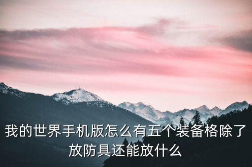 我的世界手机版怎么有五个装备格除了放防具还能放什么