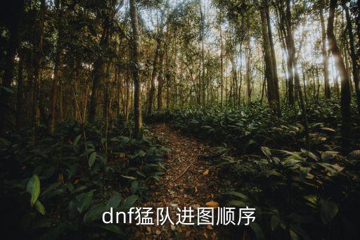 dnf猛队有什么属性，dnf猛队进图顺序