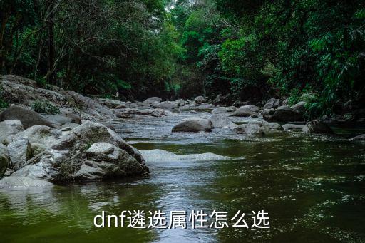 dnf遴选属性怎么选