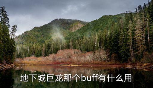 地下城巨龙那个buff有什么用