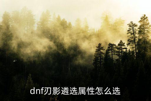 dnf刃影遴选属性怎么选