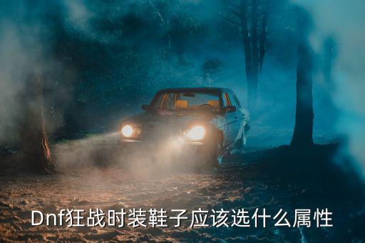 dnf鞋加什么属性，dnf中的斩影鞋加的具体属性