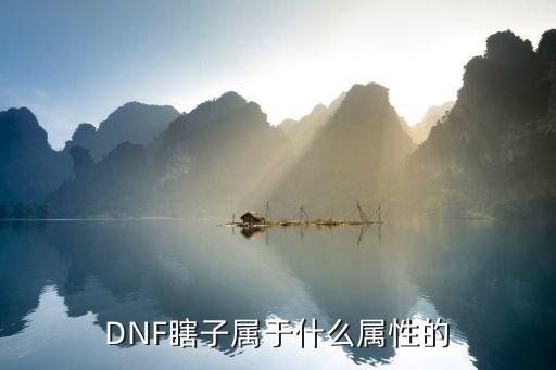 DNF瞎子属于什么属性的