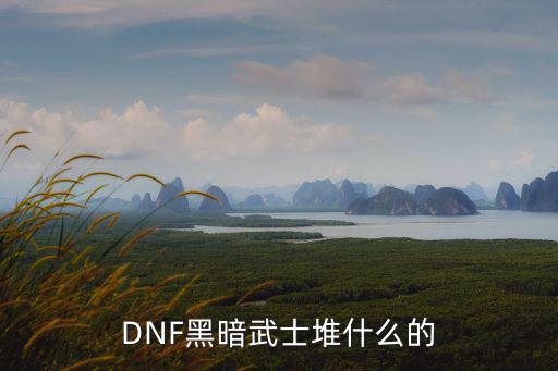 DNF黑暗武士堆什么的