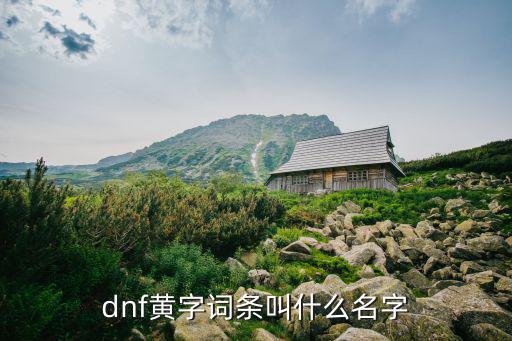 dnf黄字词条叫什么名字