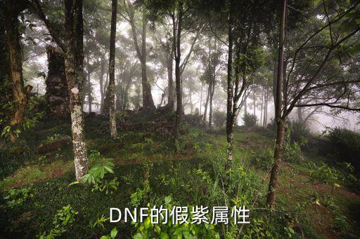 dnf假紫什么属性，dnf刷图假紫属性选择