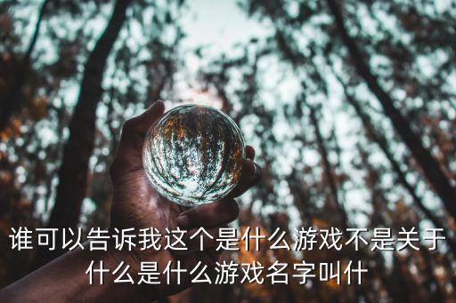 谁可以告诉我这个是什么游戏不是关于什么是什么游戏名字叫什