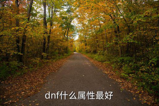 dnf什么属性最好