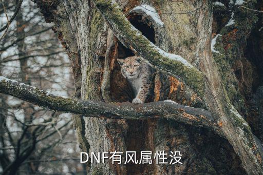 DNF有风属性没