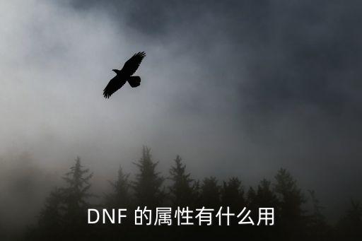 DNF 的属性有什么用