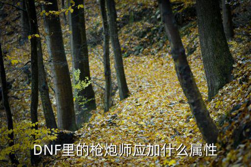 DNF里的枪炮师应加什么属性