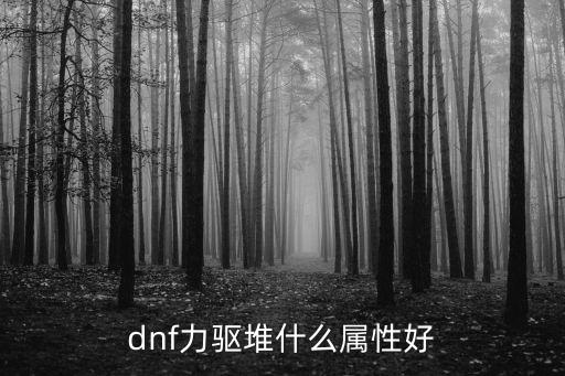 dnf力驱堆什么属性好