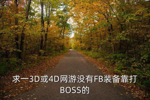 求一3D或4D网游没有FB装备靠打BOSS的