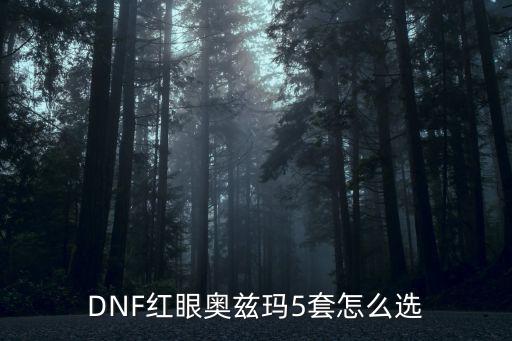 DNF红眼奥兹玛5套怎么选