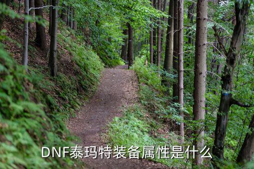 DNF泰玛特装备属性是什么