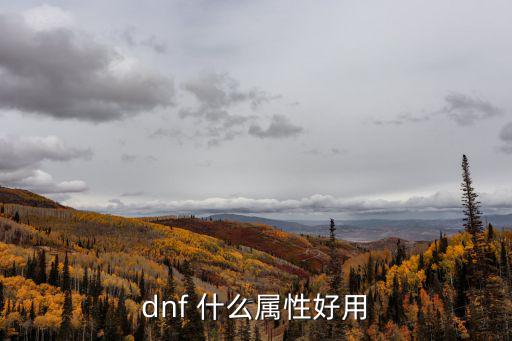 dnf 什么属性好用