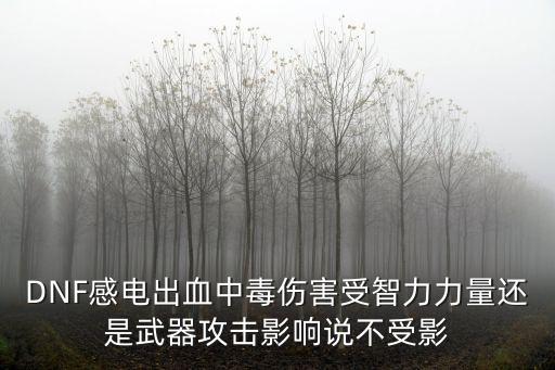 DNF感电出血中毒伤害受智力力量还是武器攻击影响说不受影