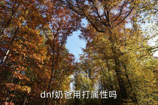 dnf奶爸打什么属性，dnf奶爸用打属性吗