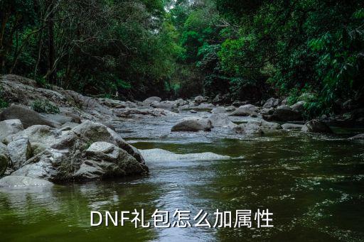 DNF礼包怎么加属性