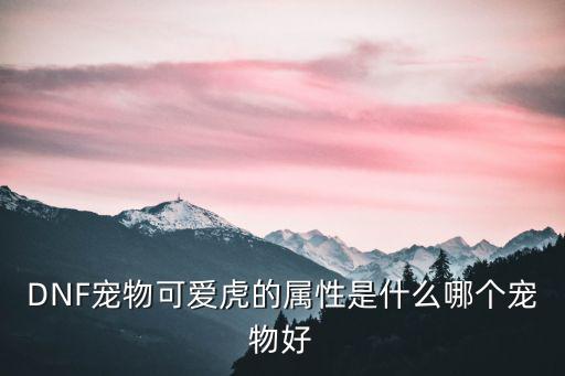 dnf老虎什么属性，DNF中宠物淘气虎到50级带什么装备