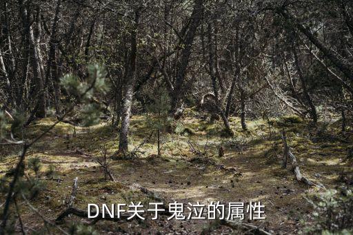 DNF关于鬼泣的属性