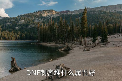 DNF刺客堆什么属性好