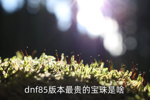 dnf85版本最贵的宝珠是啥