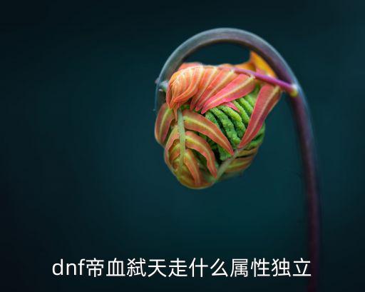 dnf帝血弑天走什么属性独立